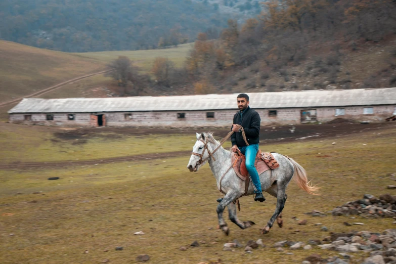 a person in black jacket and blue jeans riding a white horse