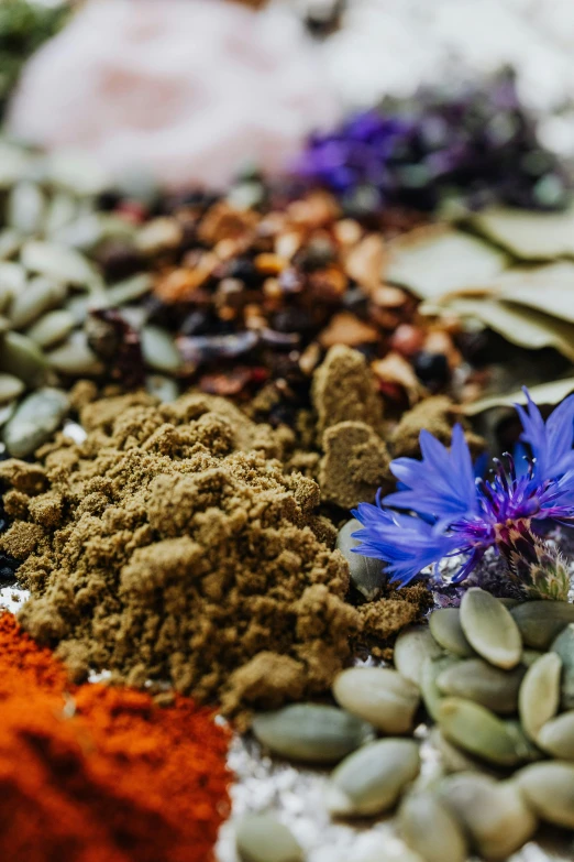 colorful spice and herbs are spread out on the ground