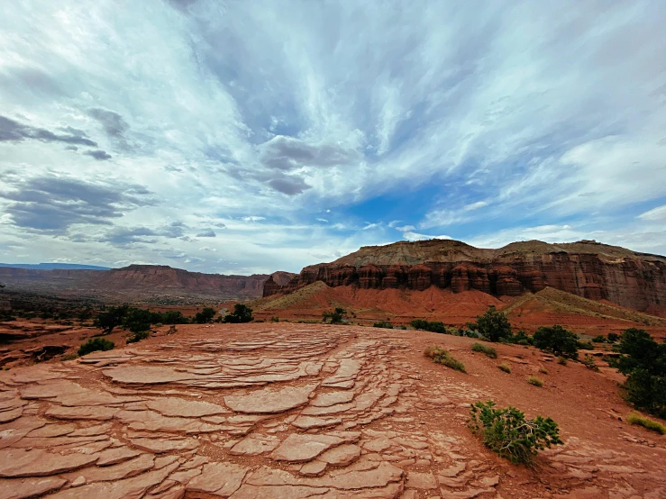 a large rocky area with a few bushes and trees