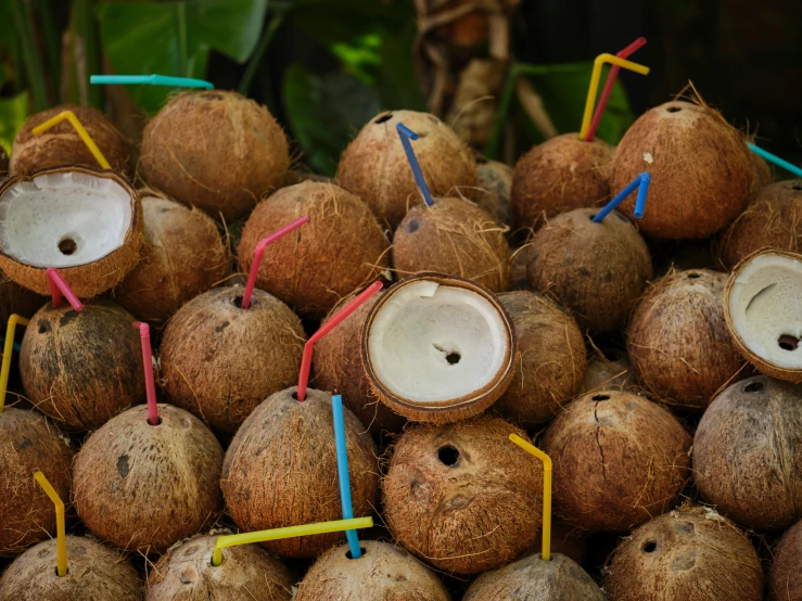 some coconuts are arranged together with colorful straw tops