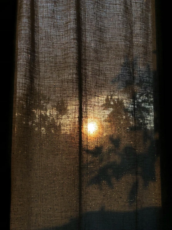 the sun shines through a mesh window