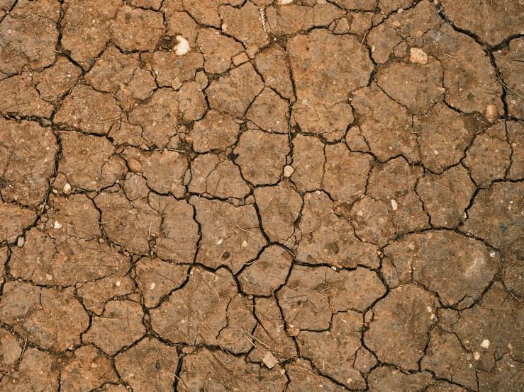 some brown rocks and dirt with small white dots