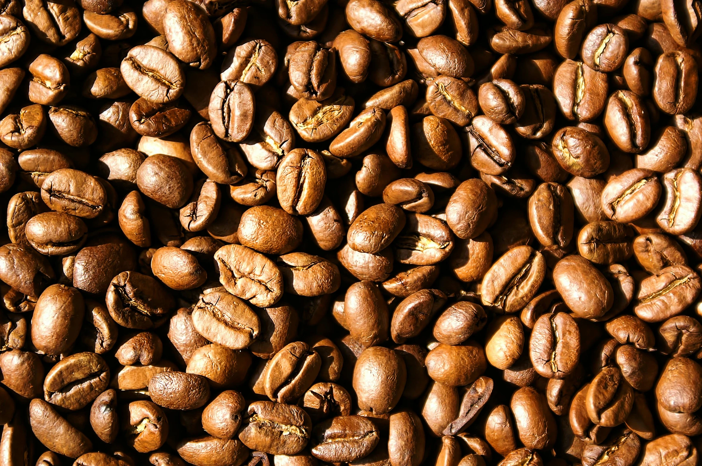this is a close up view of coffee beans
