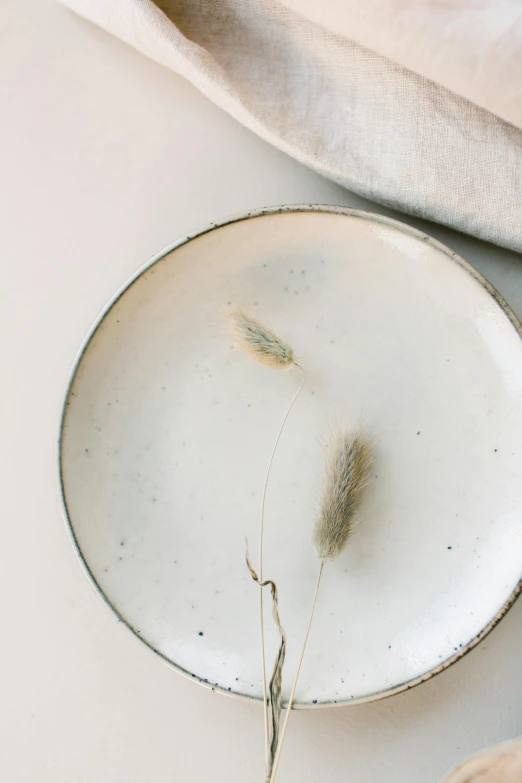 an old plate with plants in it sitting on the table