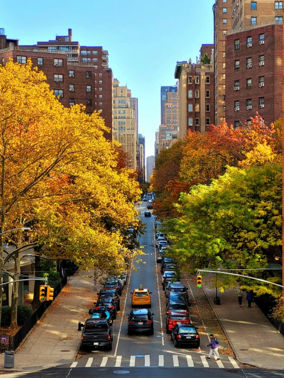 this is a busy city street lined with cars