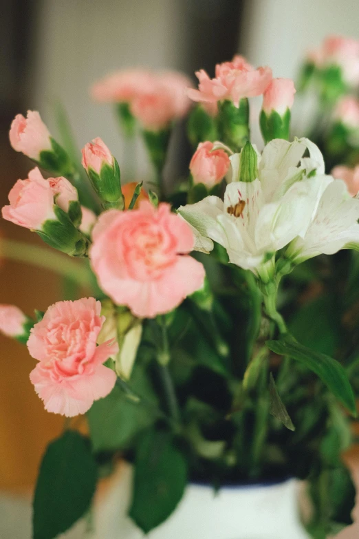 a white vase has pink flowers in it