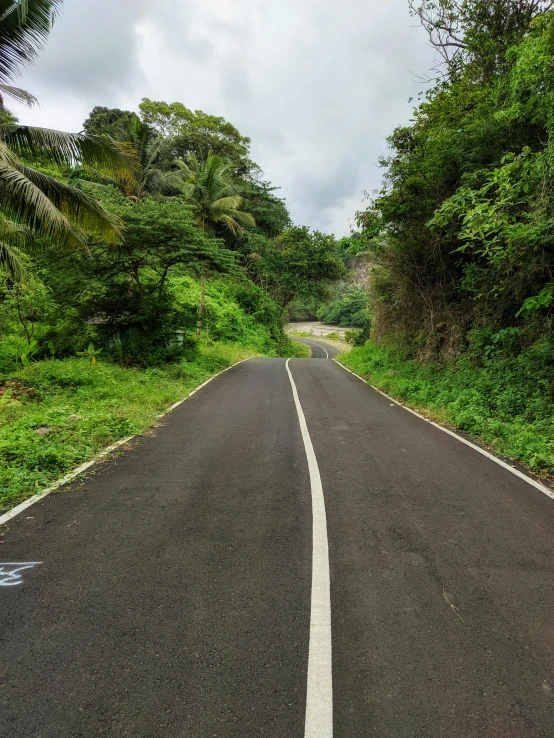 the road has two white lines on it