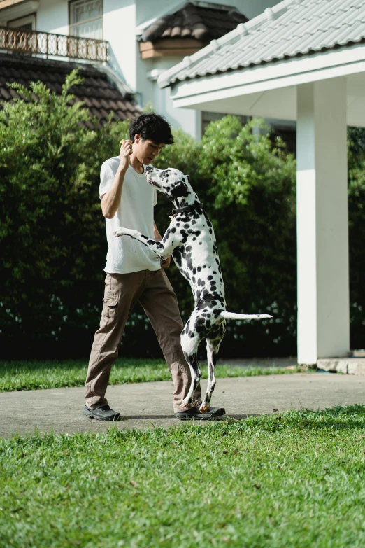a boy holds onto his dalmation, while he walks on the sidewalk