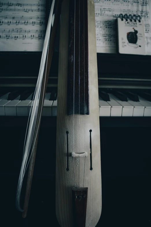 an upright musical instrument is made to look like a fish