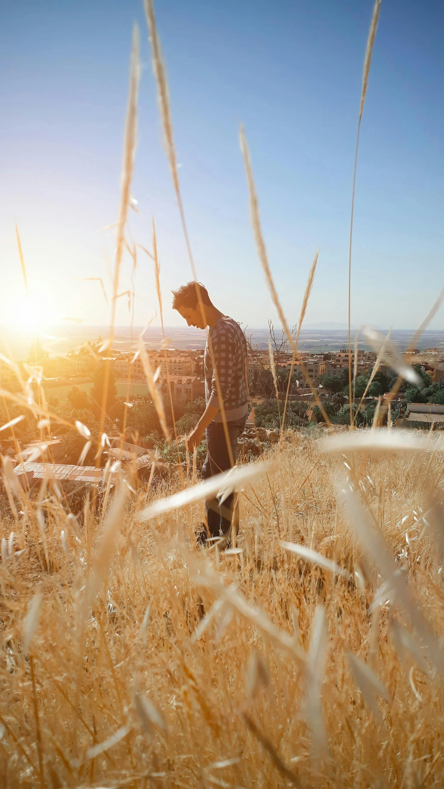 a man is walking through the grass in the sun