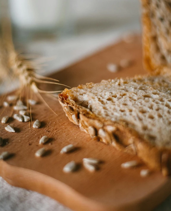 closeup of a sliced whole grain of bread