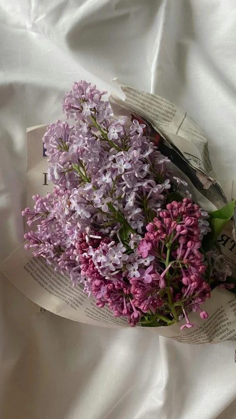 some purple flowers sit on some book pages