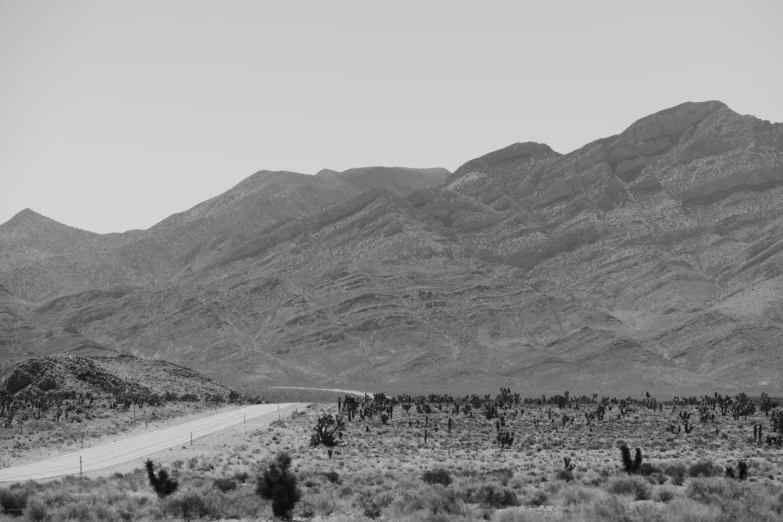 a black and white landscape is pictured with mountains in the distance