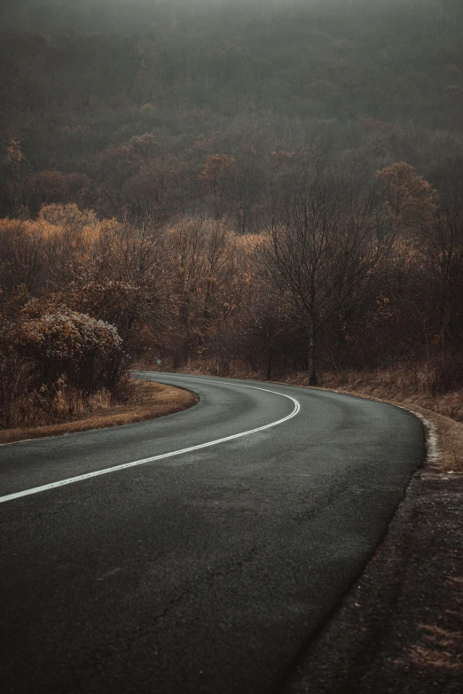 there is a winding road through some trees