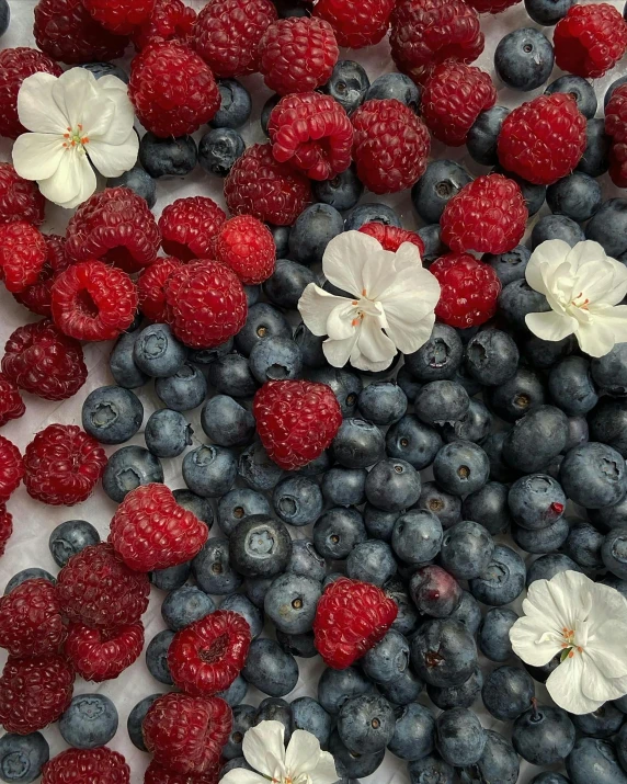 a group of berries and raspberries arranged together