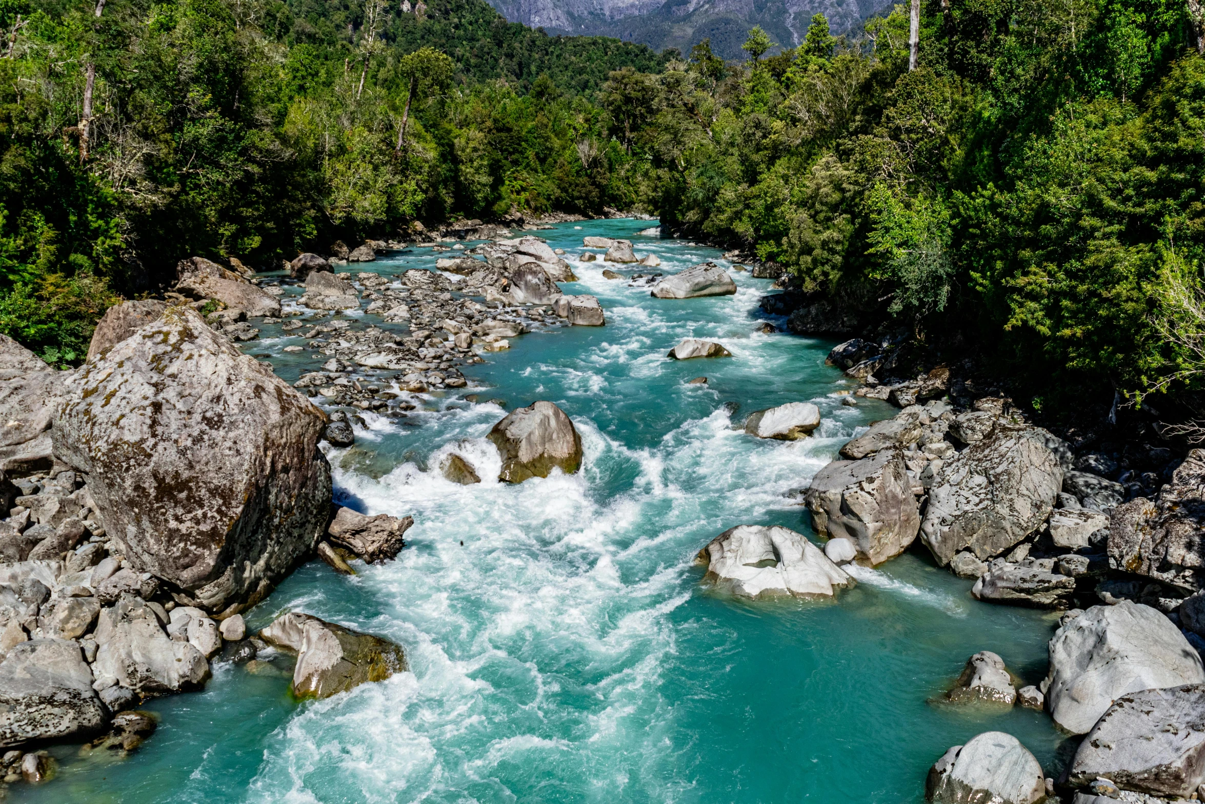 a mountain river is shown running through the woods