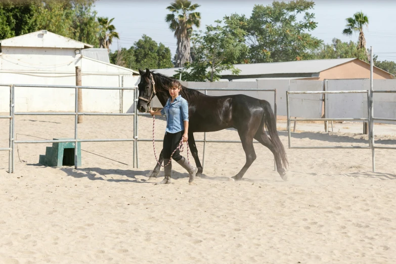 a person walking a horse inside a fenced area