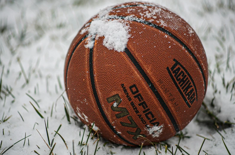 an orange ball covered in snow sits in the grass