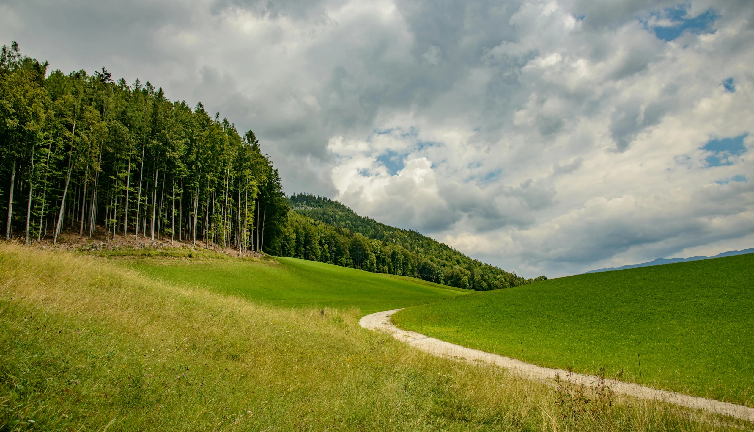 an area with green grass and some trees on the hillside