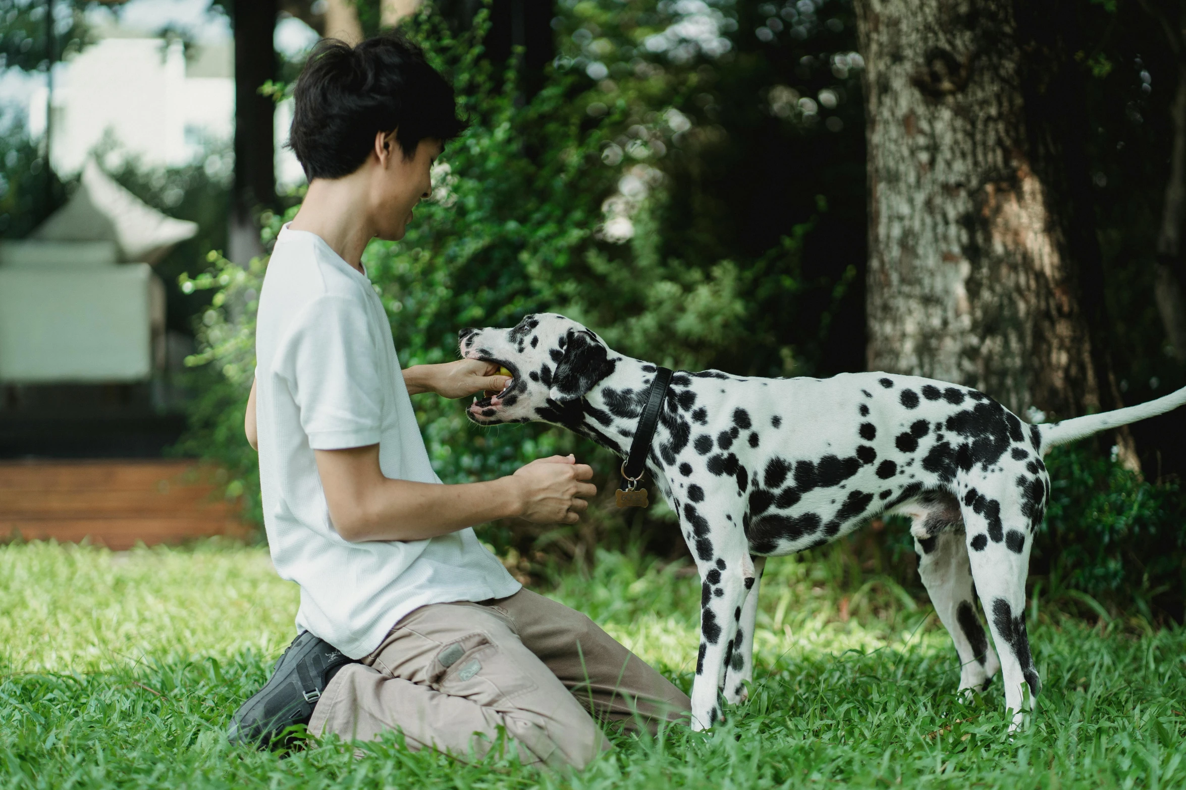 a man and his dog sit in the grass