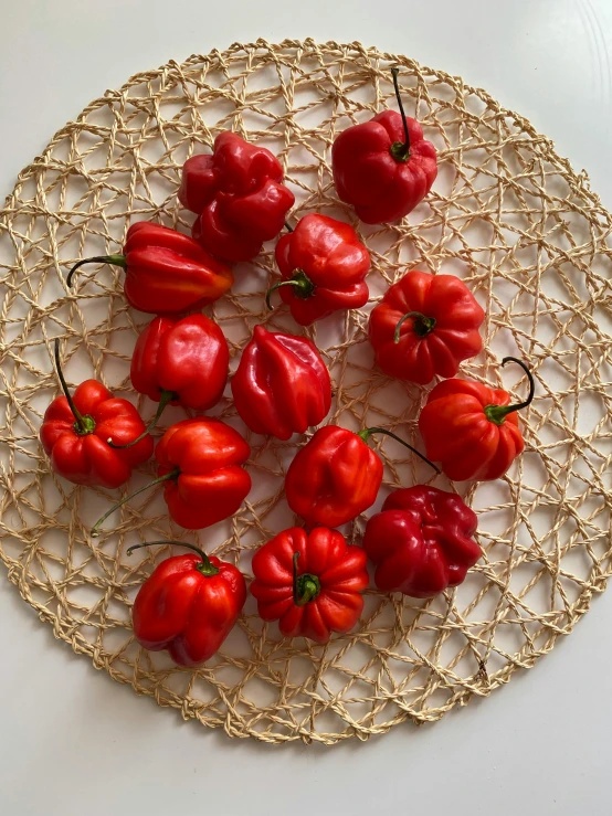 a picture of red peppers on a white plate