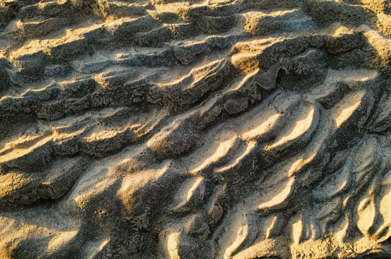 some sand and water at the beach with little patches of algae