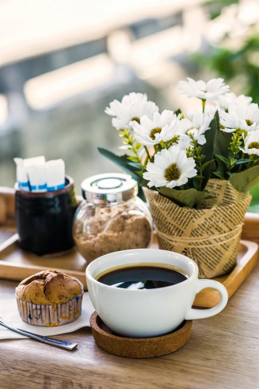 cup of coffee, muffin and flower pot on tray