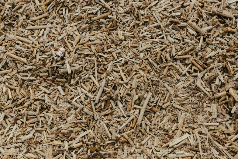 a pile of wood shavings, with a clock on top