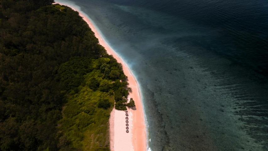 a bird's eye view of a sandy shore with trees