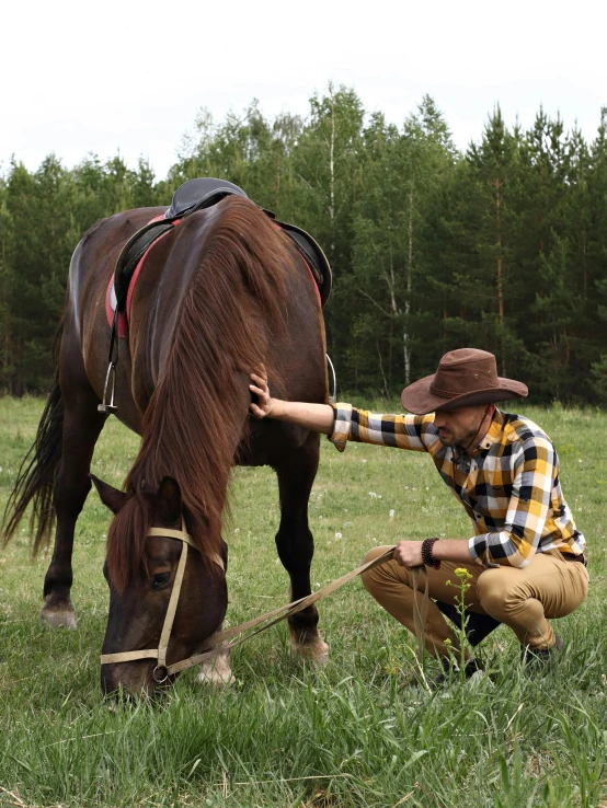 man helping a horse in the field with his bridle