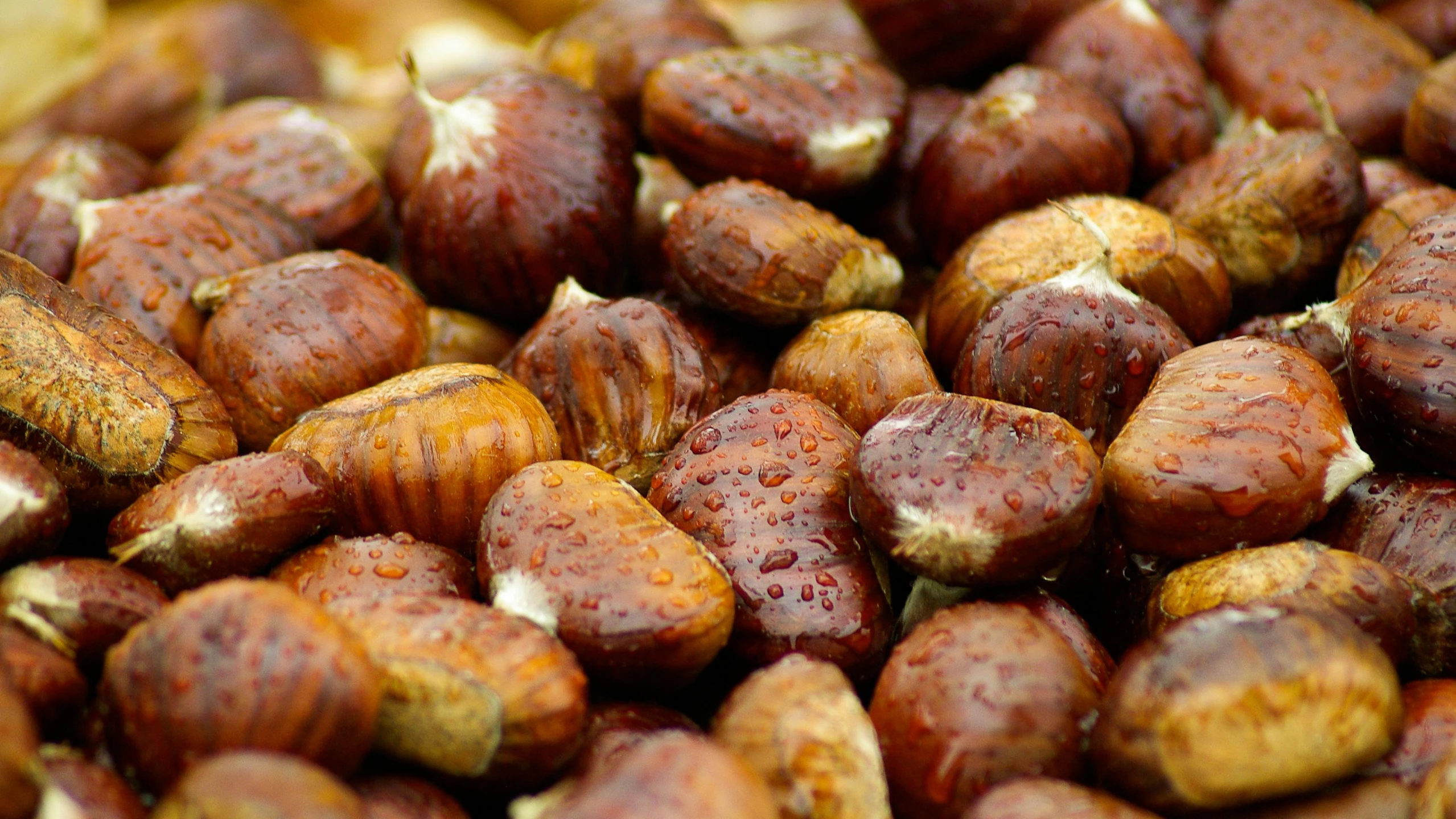 close up image of a mixture of nuts