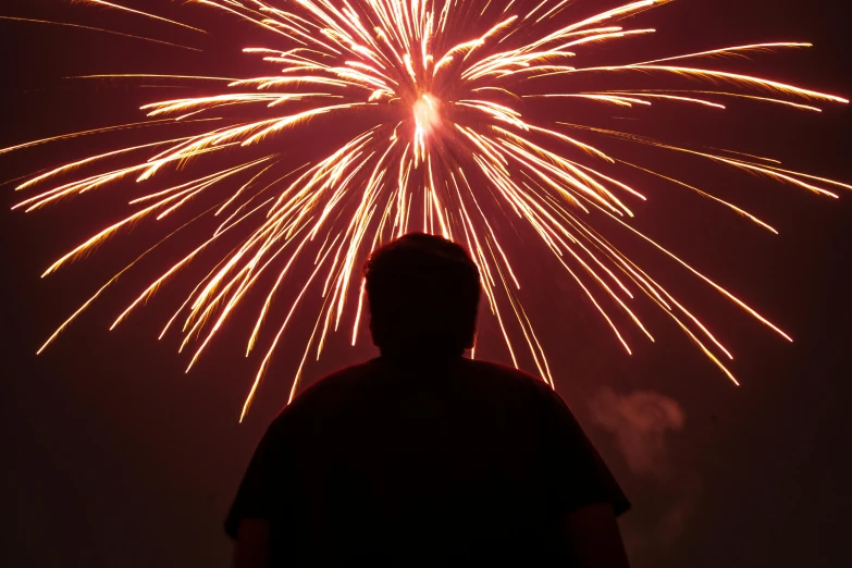 a person standing in front of a sky filled with colorful fireworks