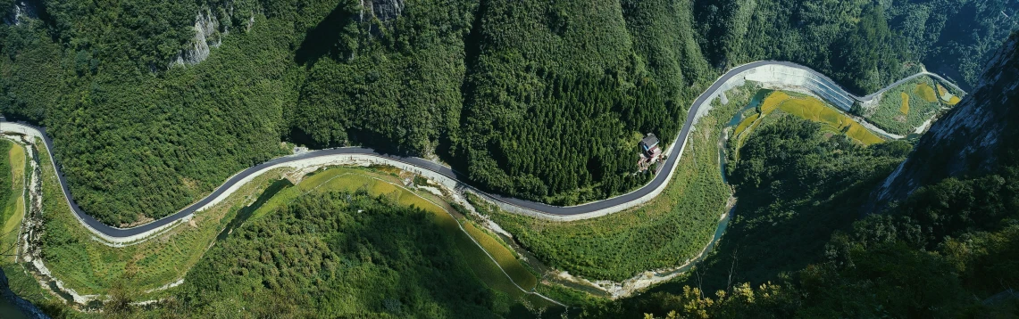 aerial view of an winding road in the woods