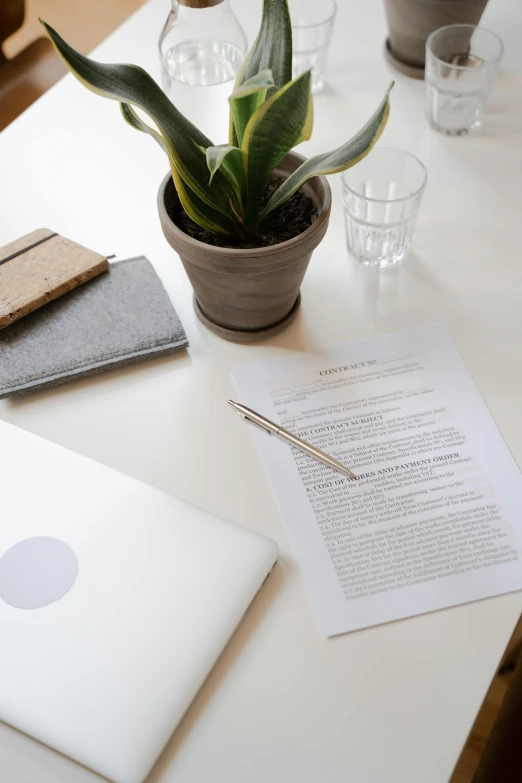 a laptop sits on a table next to a plant