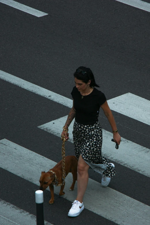 woman walking across crosswalk with brown dog on leash