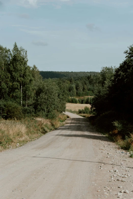 a dirt road with trees near a field