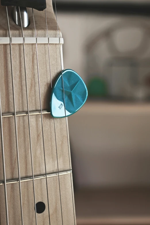 an electric guitar neck and fret cap with an embroidered blue design