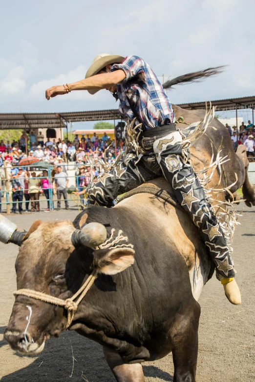 man riding a bull with crowd of people watching