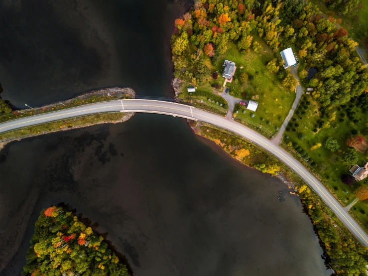 two roads and houses surrounded by trees, with lake and street