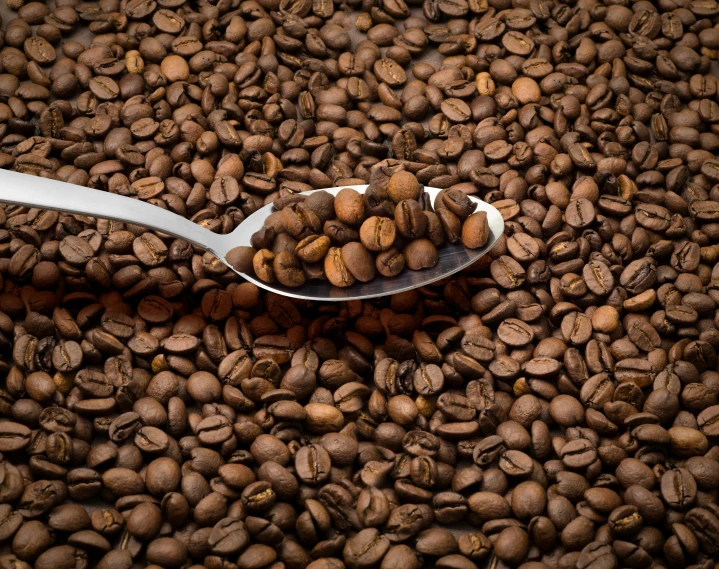 spoon filled with some nuts and soing else on top of it