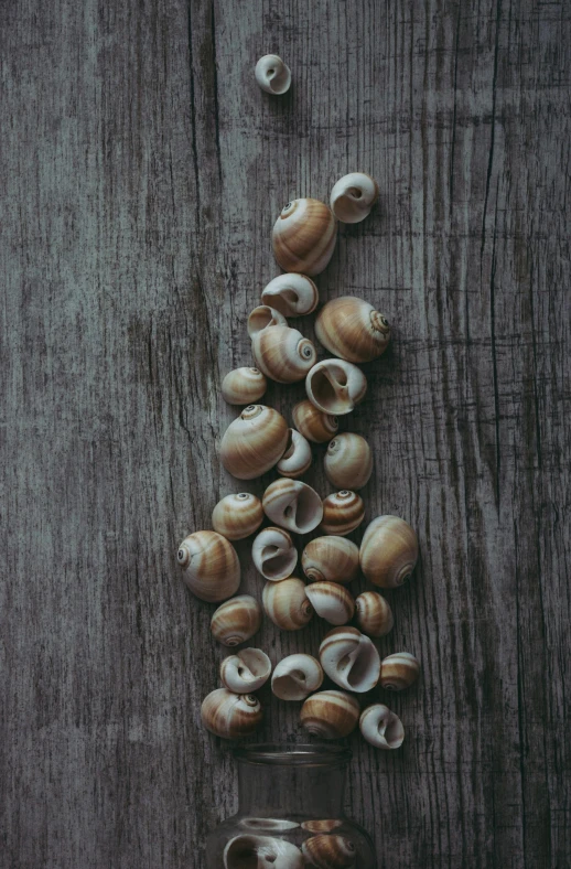 a glass filled with shells sitting on top of a table