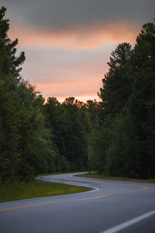 the road has some trees in the back