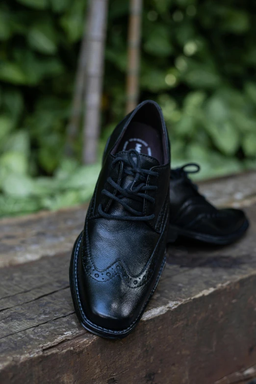 a shoe on top of a wooden bench with trees in the background