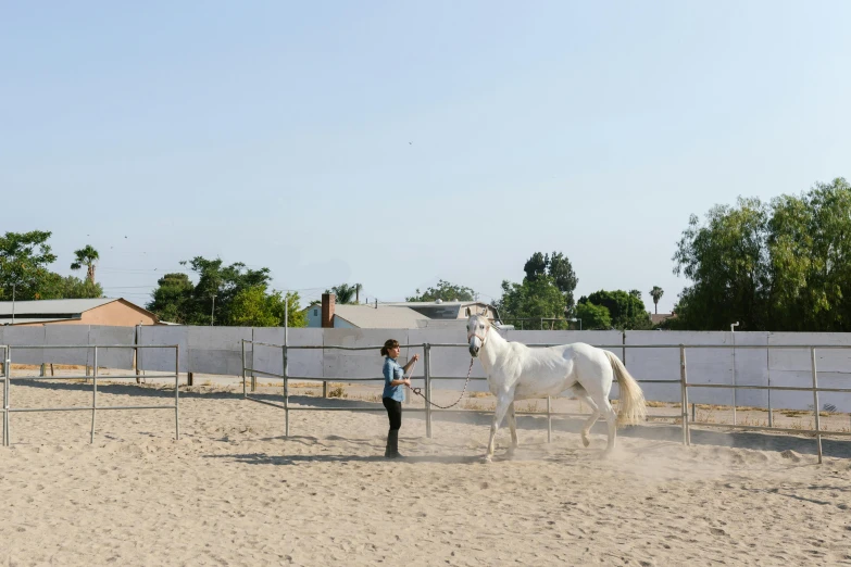 a girl with her horse in an enclosed pen