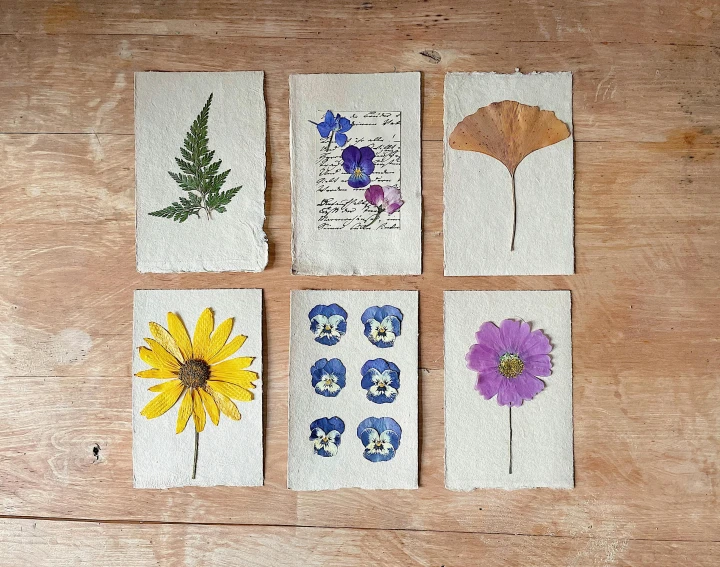 four pieces of paper with colorful flowers on them