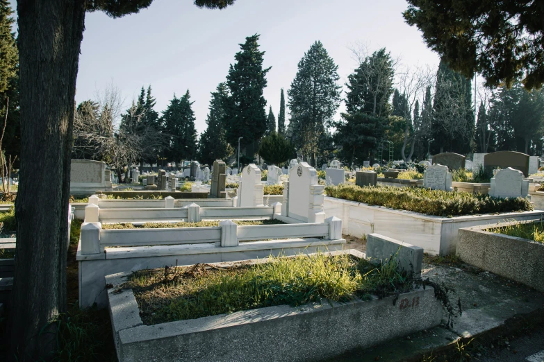 an image of a cemetery with graves and trees