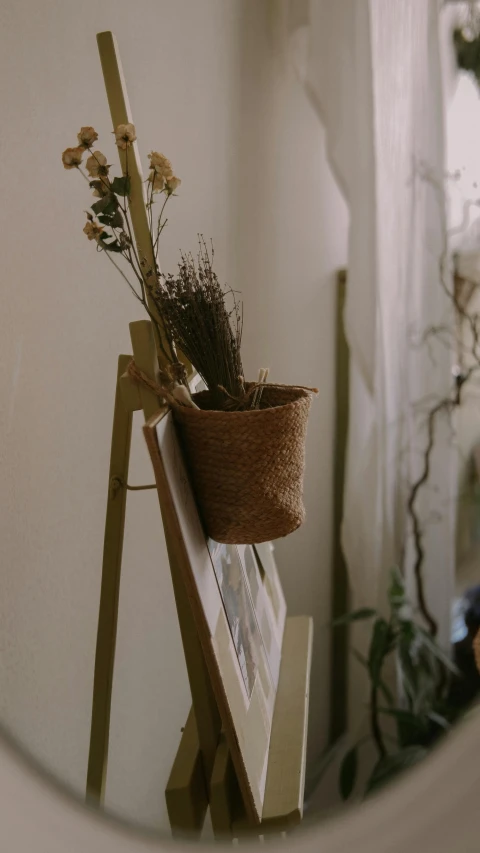small plants in a flower pot on a shelf