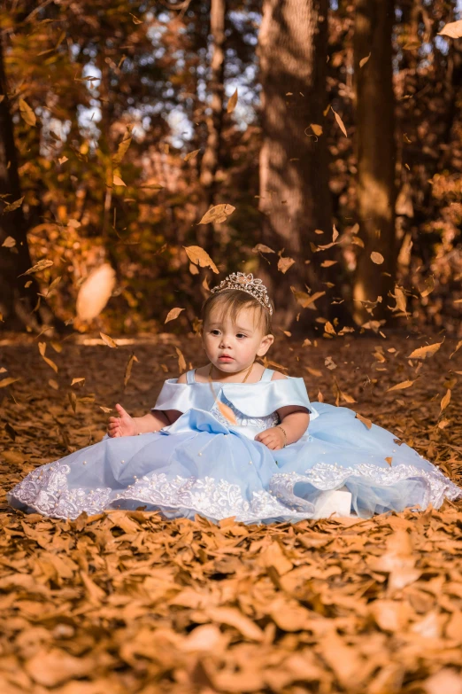 a small girl wearing a blue dress sitting on a leaf filled field