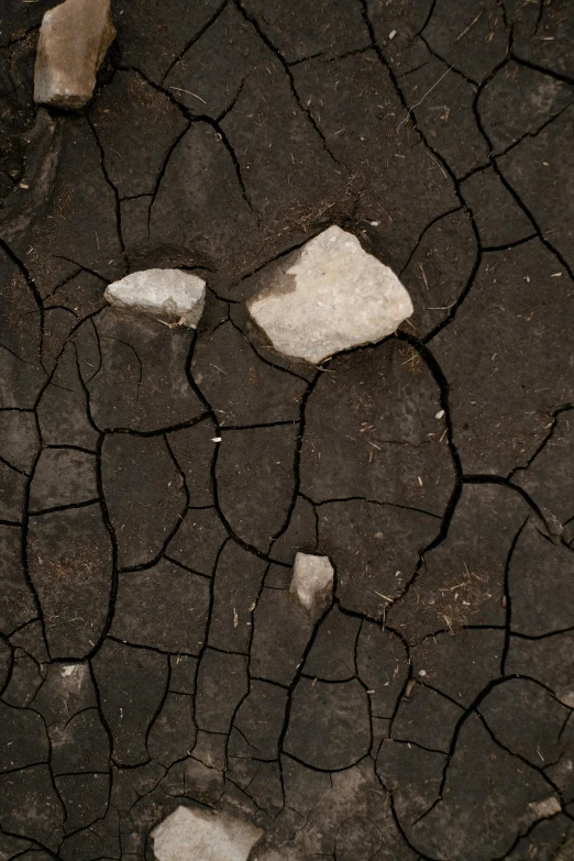 small rock is shown next to a  in the ground