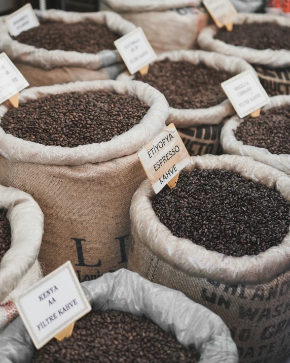 many bags of coffee beans sit side by side